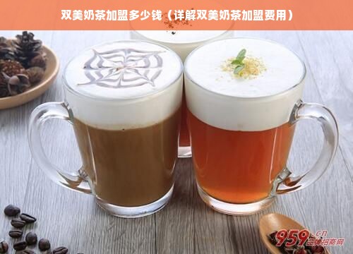 双美奶茶加盟多少钱（详解双美奶茶加盟费用）