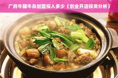 广府牛腩牛杂加盟投入多少（创业开店投资分析）