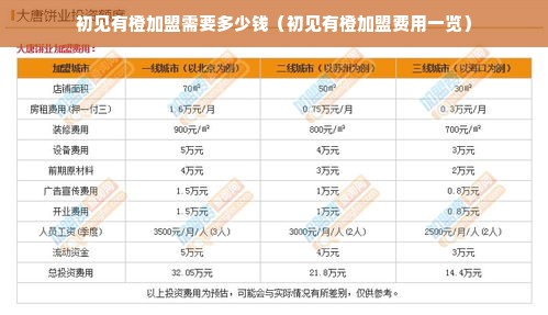 初见有橙加盟需要多少钱（初见有橙加盟费用一览）