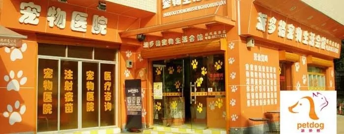 广西宠物店加盟价格是多少（了解广西宠物店加盟的费用详情）