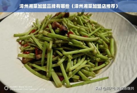 漳州湘菜加盟品牌有哪些（漳州湘菜加盟店推荐）