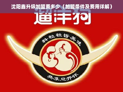 沈阳鑫升级加盟费多少（加盟条件及费用详解）