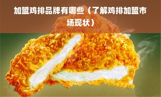 加盟鸡排品牌有哪些（了解鸡排加盟市场现状）