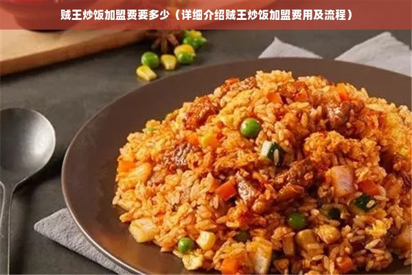 贼王炒饭加盟费要多少（详细介绍贼王炒饭加盟费用及流程）