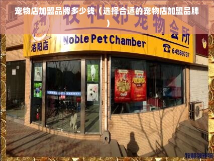 宠物店加盟品牌多少钱（选择合适的宠物店加盟品牌）