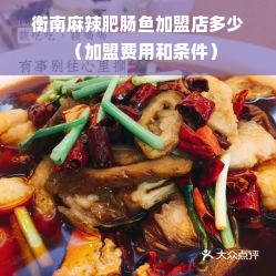 衡南麻辣肥肠鱼加盟店多少（加盟费用和条件）