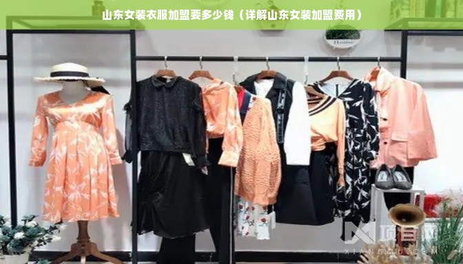 山东女装衣服加盟要多少钱（详解山东女装加盟费用）