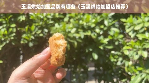 玉溪烘焙加盟品牌有哪些（玉溪烘焙加盟店推荐）