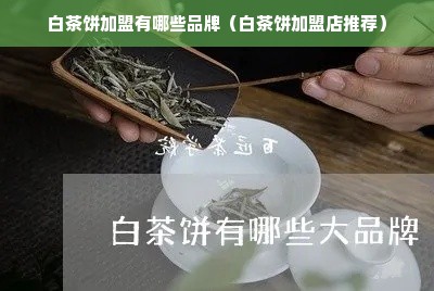 白茶饼加盟有哪些品牌（白茶饼加盟店推荐）