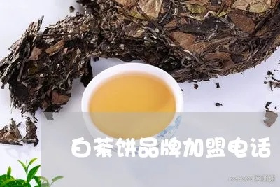 白茶饼加盟有哪些品牌（白茶饼加盟店推荐）