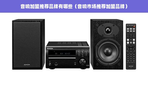 音响加盟推荐品牌有哪些（音响市场推荐加盟品牌）