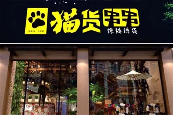 猫店加盟品牌有哪些（探寻猫店加盟市场）