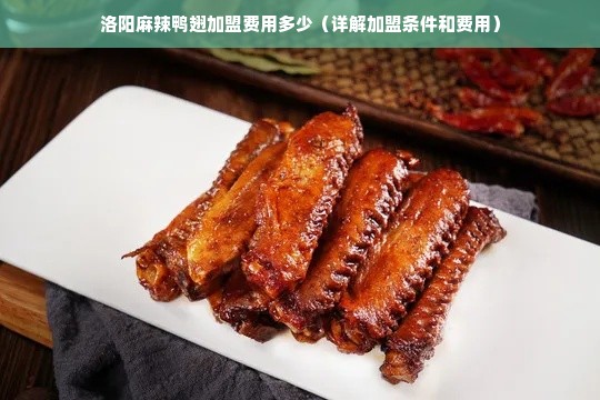 洛阳麻辣鸭翅加盟费用多少（详解加盟条件和费用）