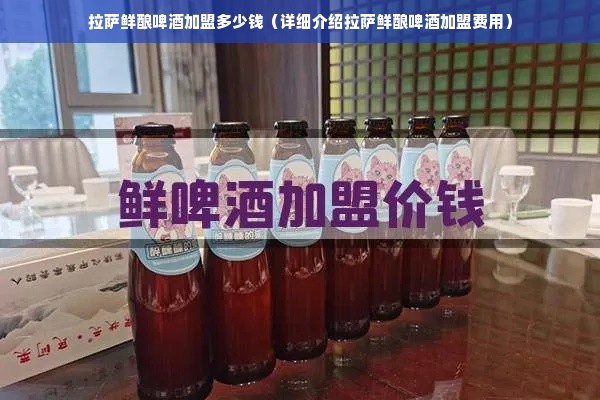 拉萨鲜酿啤酒加盟多少钱（详细介绍拉萨鲜酿啤酒加盟费用）