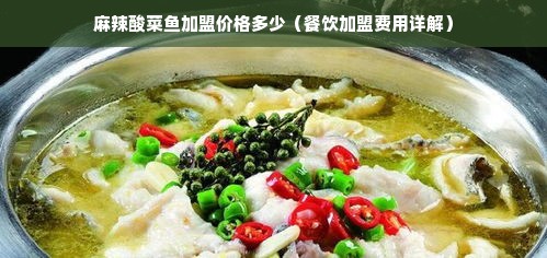 麻辣酸菜鱼加盟价格多少（餐饮加盟费用详解）