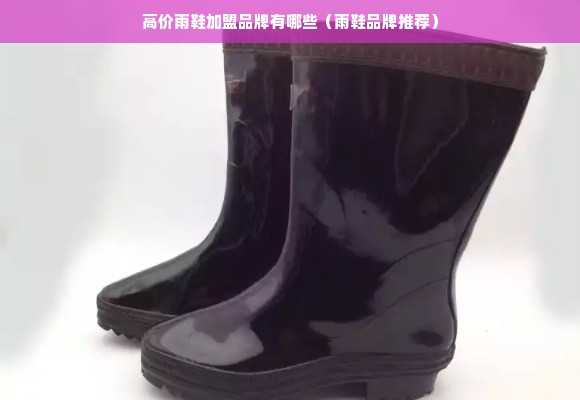 高价雨鞋加盟品牌有哪些（雨鞋品牌推荐）