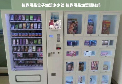 情趣用品盒子加盟多少钱 情趣用品加盟赚钱吗