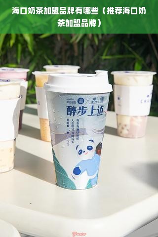 海口奶茶加盟品牌有哪些（推荐海口奶茶加盟品牌）