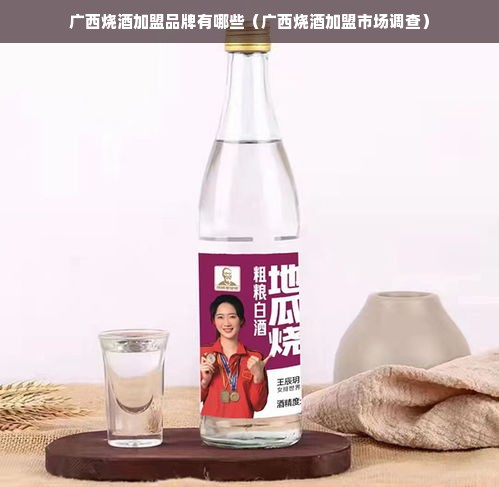 广西烧酒加盟品牌有哪些（广西烧酒加盟市场调查）