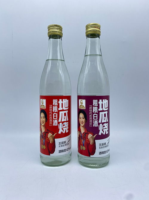 广西烧酒加盟品牌有哪些（广西烧酒加盟市场调查）