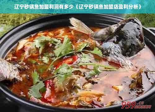 辽宁砂锅鱼加盟利润有多少（辽宁砂锅鱼加盟店盈利分析）