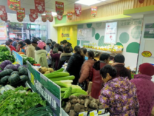 惠州开生鲜超市加盟多少钱（详解生鲜超市加盟费用）