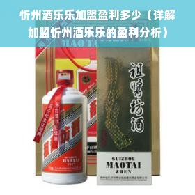 忻州酒乐乐加盟盈利多少（详解加盟忻州酒乐乐的盈利分析）