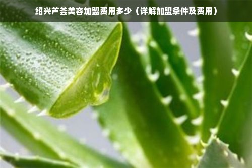 绍兴芦荟美容加盟费用多少（详解加盟条件及费用）