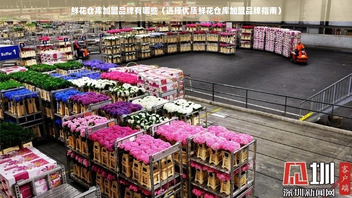 鲜花仓库加盟品牌有哪些（选择优质鲜花仓库加盟品牌指南）