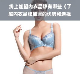 线上加盟内衣品牌有哪些（了解内衣品牌加盟的优势和选择）