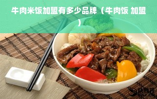 牛肉米饭加盟有多少品牌（牛肉饭 加盟）