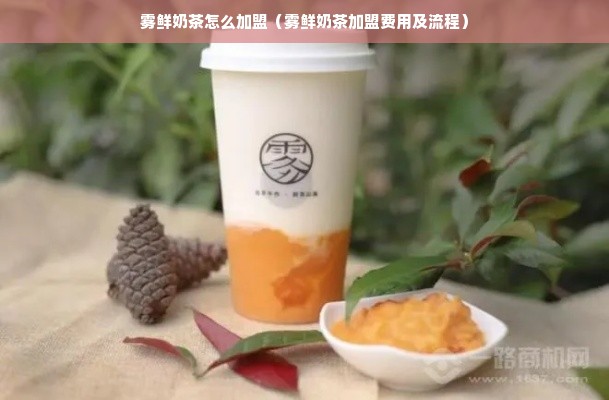 雾鲜奶茶怎么加盟（雾鲜奶茶加盟费用及流程）