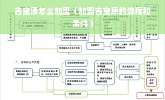 吉宝原怎么加盟（加盟吉宝原的流程和条件）