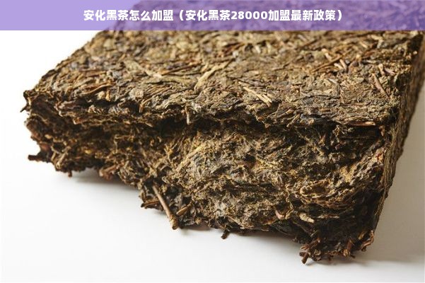 安化黑茶怎么加盟（安化黑茶28000加盟最新政策）