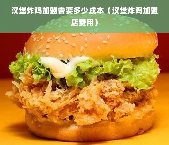 汉堡炸鸡加盟需要多少成本（汉堡炸鸡加盟店费用）