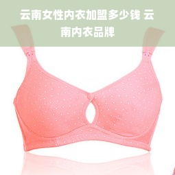 云南女性内衣加盟多少钱 云南内衣品牌