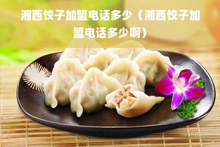 湘西饺子加盟电话多少（湘西饺子加盟电话多少啊）