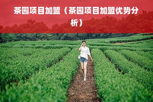 茶园项目加盟（茶园项目加盟优势分析）