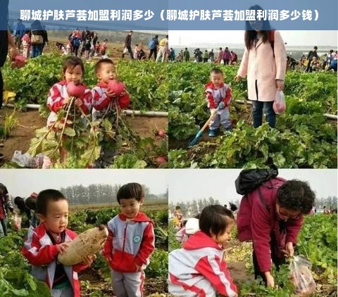 聊城护肤芦荟加盟利润多少（聊城护肤芦荟加盟利润多少钱）