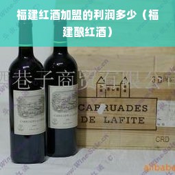 福建红酒加盟的利润多少（福建酿红酒）