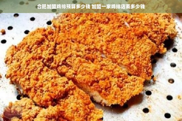 合肥加盟鸡排预算多少钱 加盟一家鸡排店要多少钱