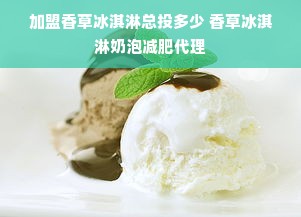 加盟香草冰淇淋总投多少 香草冰淇淋奶泡减肥代理