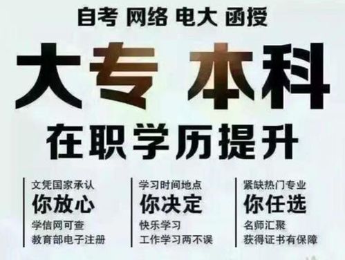 成人教育网校加盟提成多少 成人教育机构加盟排行榜 教育机构连锁加盟