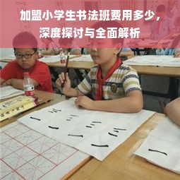 加盟小学生书法班费用多少，深度探讨与全面解析