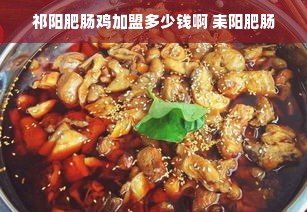 祁阳肥肠鸡加盟多少钱啊 耒阳肥肠