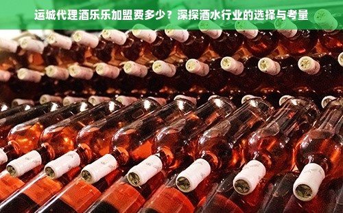 运城代理酒乐乐加盟费多少？深探酒水行业的选择与考量