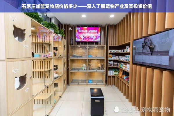 石家庄加盟宠物店价格多少——深入了解宠物产业及其投资价值