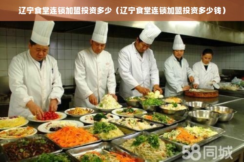 辽宁食堂连锁加盟投资多少（辽宁食堂连锁加盟投资多少钱）