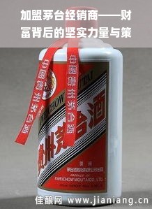 加盟茅台经销商——财富背后的坚实力量与策略解析