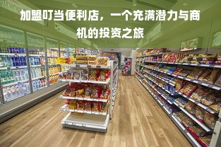 加盟叮当便利店，一个充满潜力与商机的投资之旅